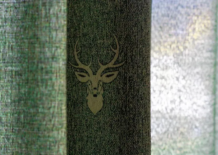 Апартаменты Haus Hoen *